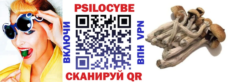 наркошоп  Дорогобуж  Псилоцибиновые грибы прущие грибы 